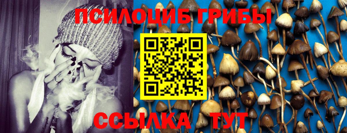 Кимры  Псилоцибиновые грибы GOLDEN TEACHER  Вход с VPN  продажа наркотиков  Галлюциногенные грибы GOLDEN TEACHER 